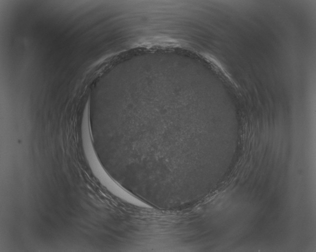 X0000083991063200702232105