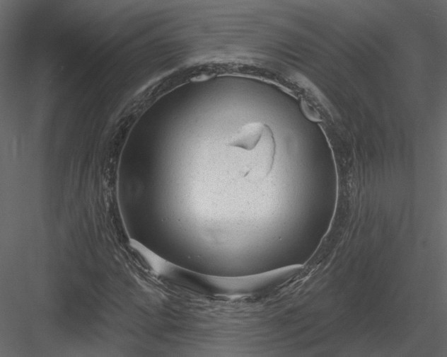 X0000083991064200702232105