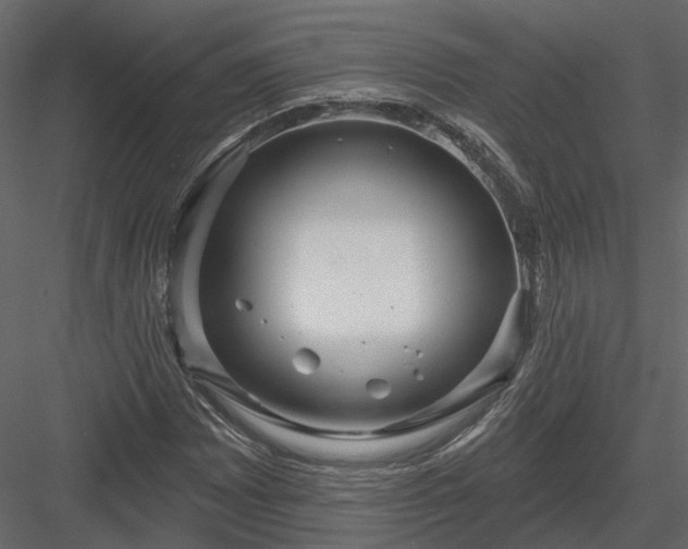 X0000083991065200702232105