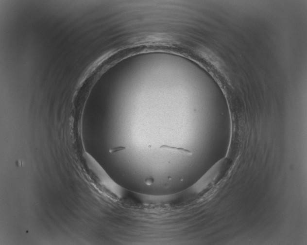 X0000083991066200702232105