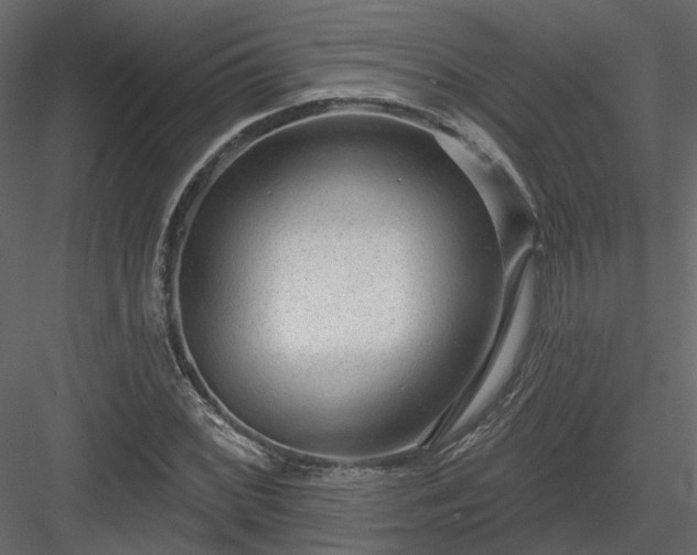 X0000083991068200702232105