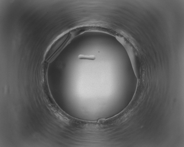 X0000083991069200702232105