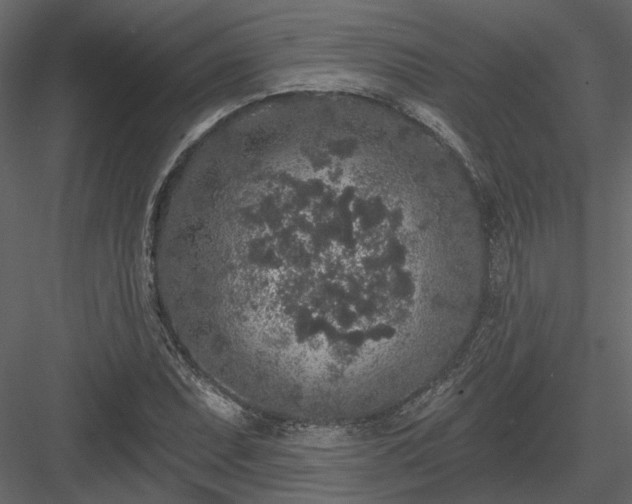 X0000083991071200702232105