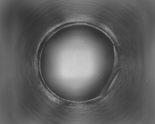 X0000083991072200702232105