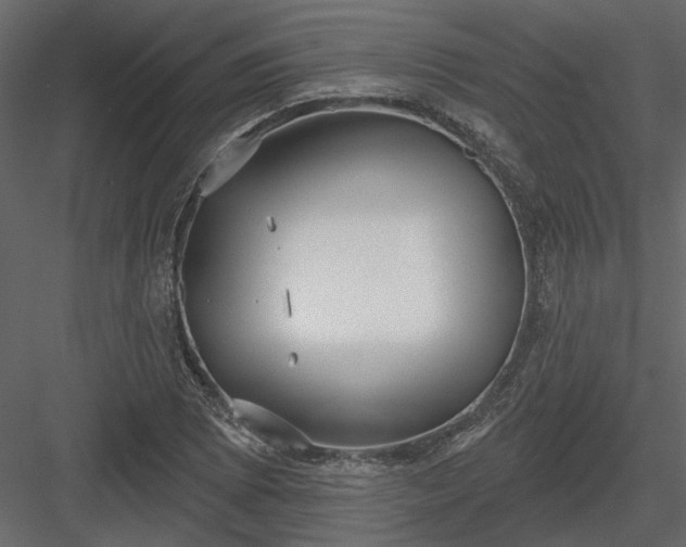 X0000083991073200702232105