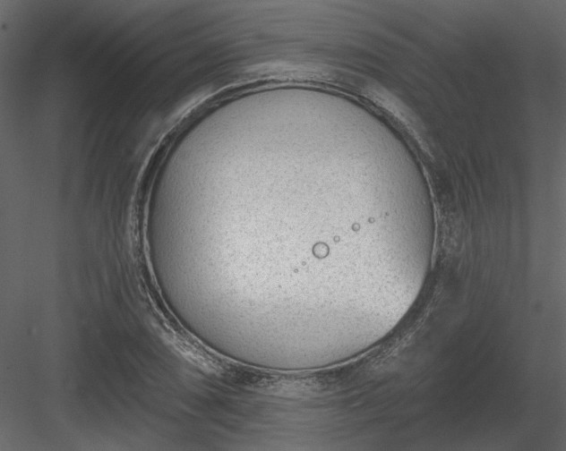 X0000083991074200702232105