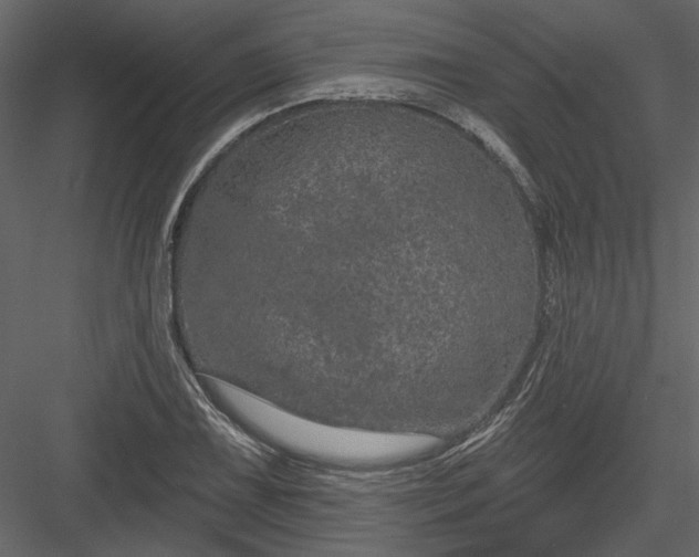 X0000083991075200702232105