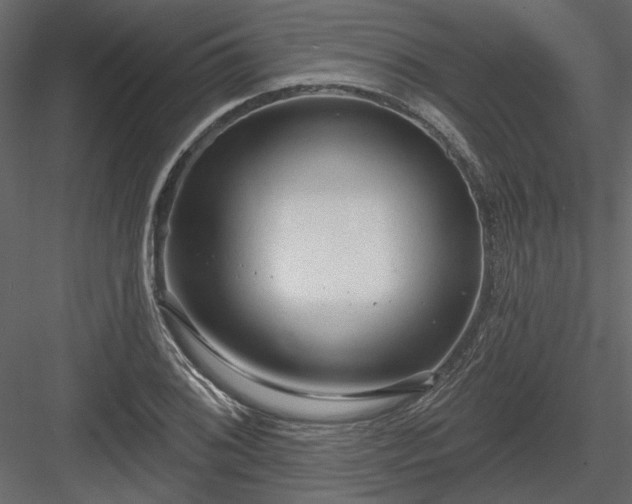 X0000083991076200702232105