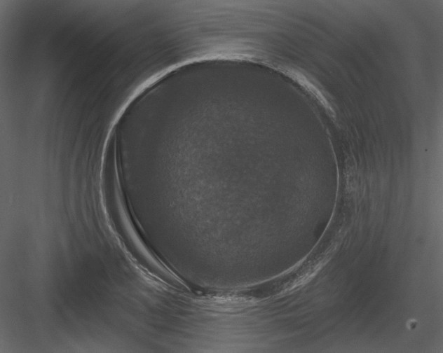 X0000083991077200702232105