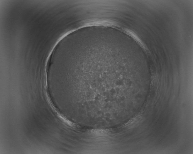 X0000083991079200702232105