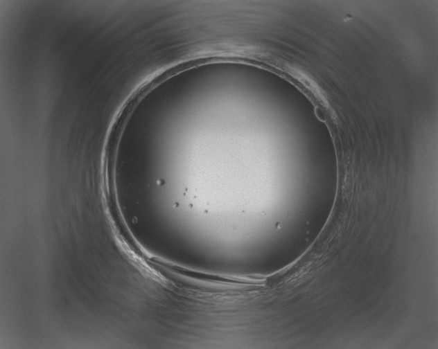 X0000083991080200702232105