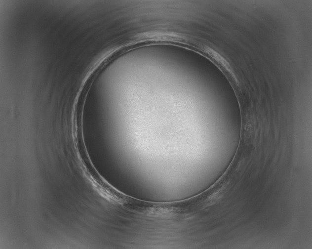 X0000083991082200702232105