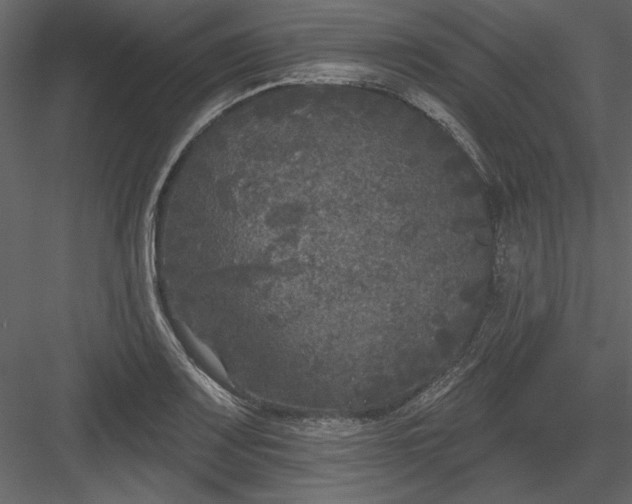 X0000083991083200702232105