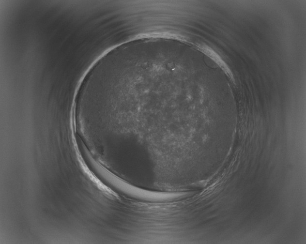 X0000083991084200702232105