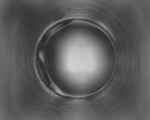 X0000083991085200702232105