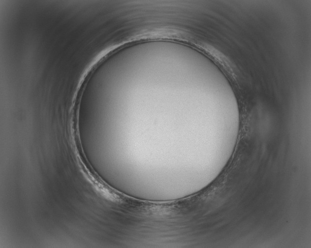 X0000083991086200702232105