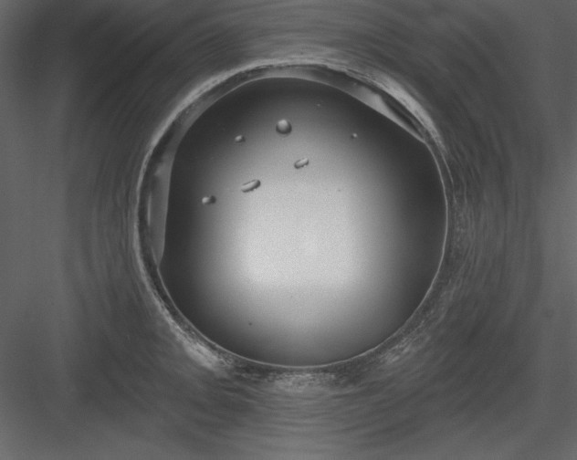 X0000083991093200702232104