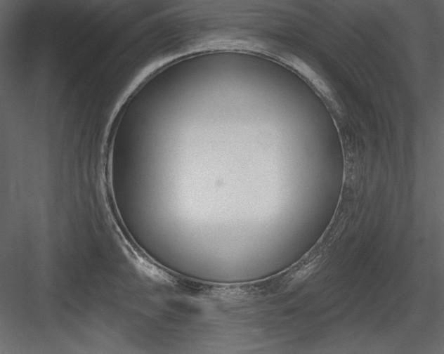 X0000083991094200702232104