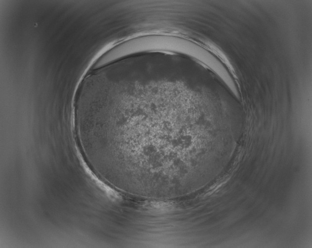 X0000083991095200702232104