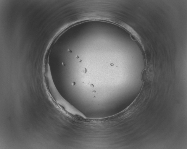 X0000083991096200702232104