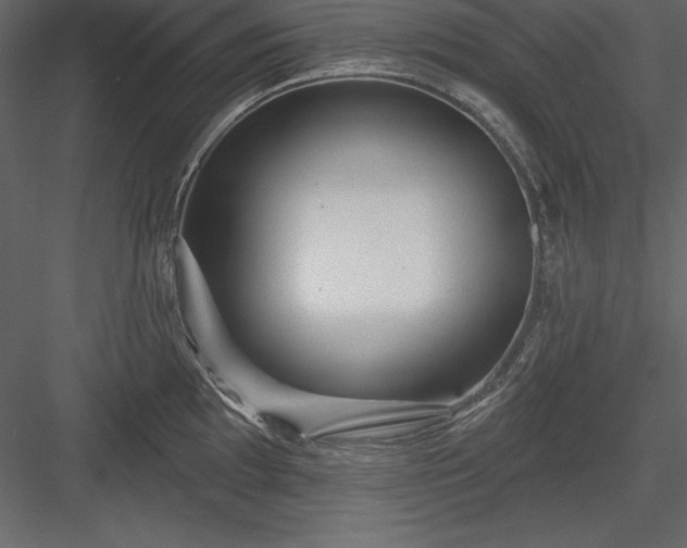 X0000083991097200702232104