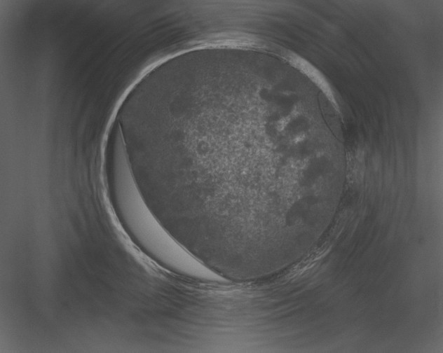 X0000083991099200702232104