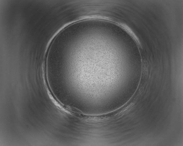 X0000083991100200702232104