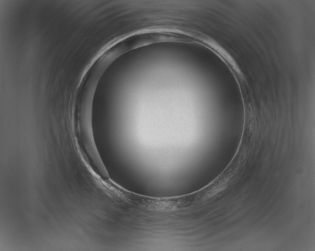 X0000083991101200702232104