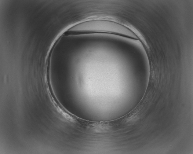 X0000083991102200702232104