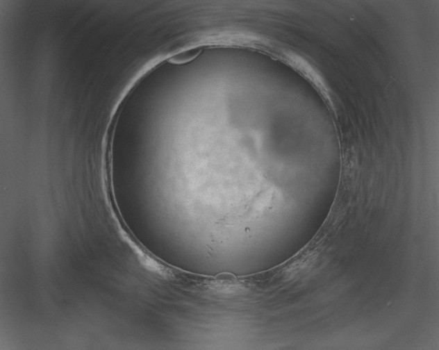 X0000083991103200702232104