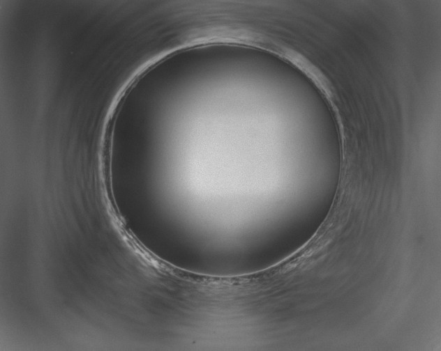 X0000083991104200702232104