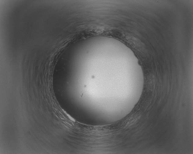 X0000083991105200702232103