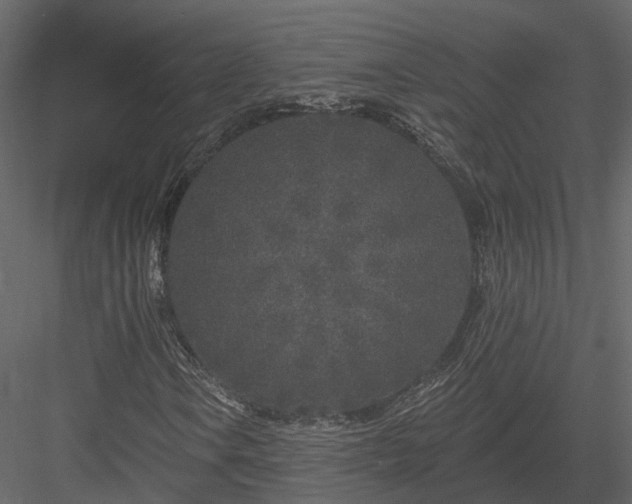 X0000083991106200702232103