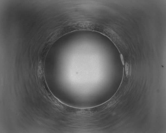 X0000083991107200702232103