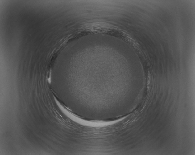 X0000083991108200702232104