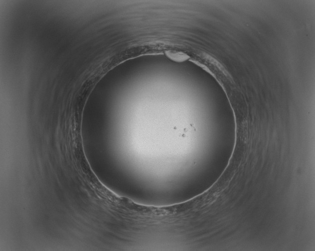 X0000083991111200702232104