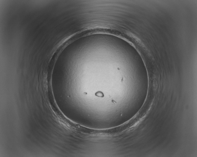 X0000083991113200702232104