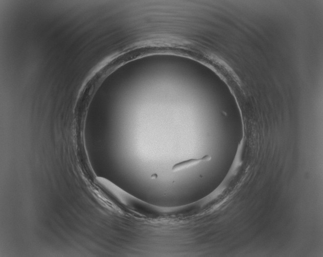 X0000083991114200702232104