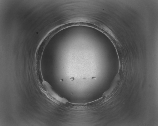 X0000083991116200702232104