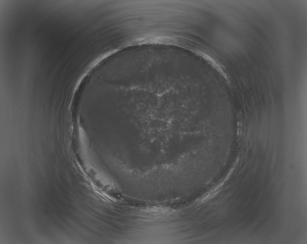 X0000083991117200702232104