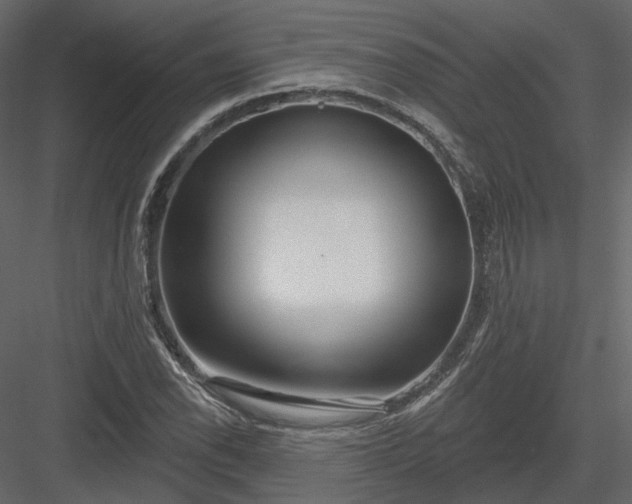 X0000083991118200702232104