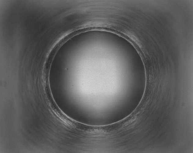 X0000083991119200702232104