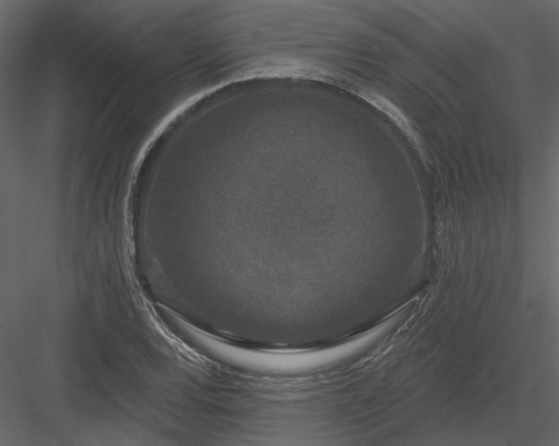 X0000083991120200702232104