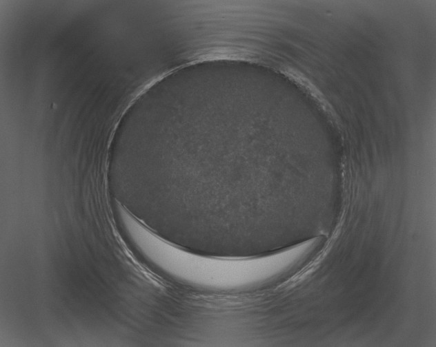 X0000083991121200702232104