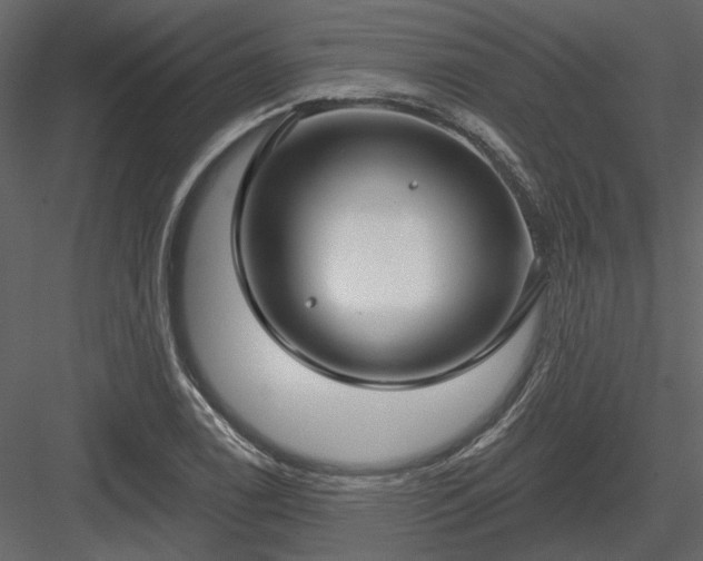 X0000083991122200702232104