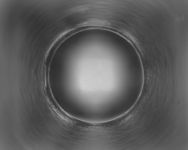 X0000083991123200702232104