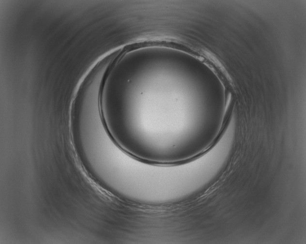 X0000083991124200702232104