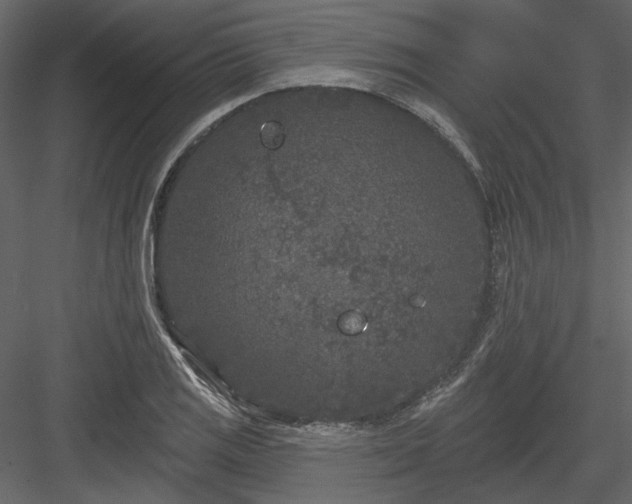 X0000083991125200702232104