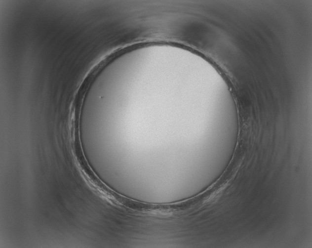 X0000083991126200702232104