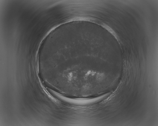 X0000083991127200702232104